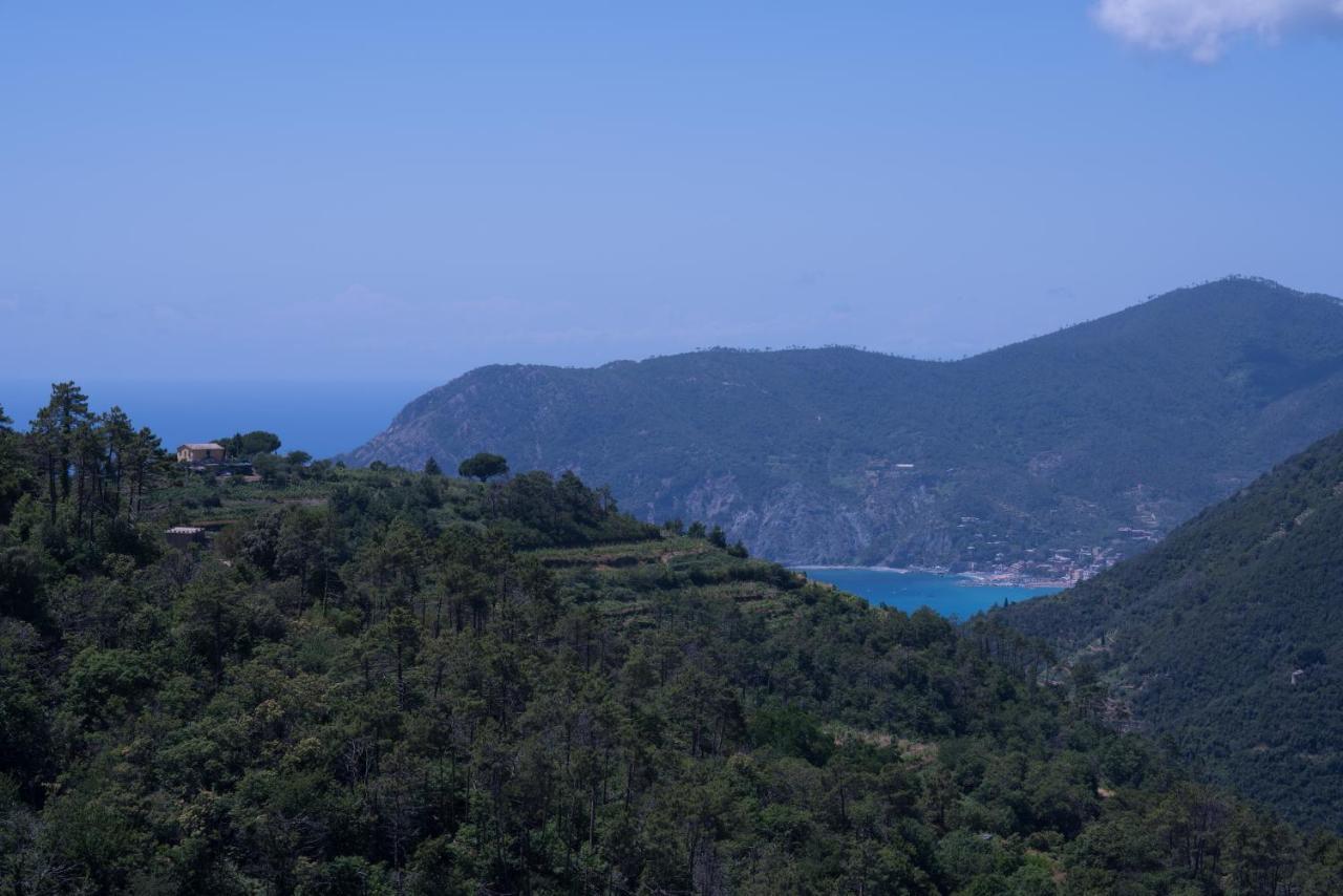 Ca Du Venuto 1, Terremarine Villa Vernazza Bagian luar foto